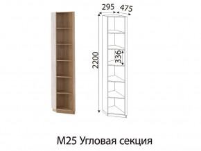 М25 Угловая секция в Невьянске - nevyansk.магазин96.com | фото