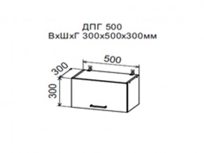 Шкаф верхний ДПГ500 горизонтальный в Невьянске - nevyansk.магазин96.com | фото