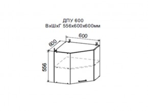 Шкаф верхний ДПУ600 угловой в Невьянске - nevyansk.магазин96.com | фото