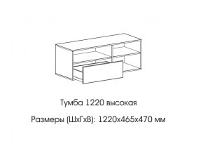 Тумба 1220 (высокая) в Невьянске - nevyansk.магазин96.com | фото